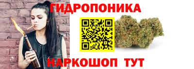 винт Донецк