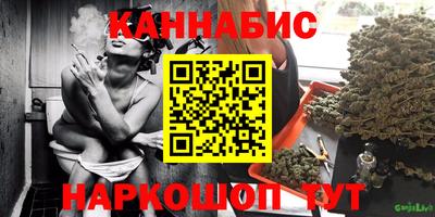 гашик Дубна