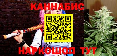 гашик Дубна