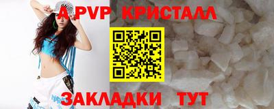 гашик Дубна