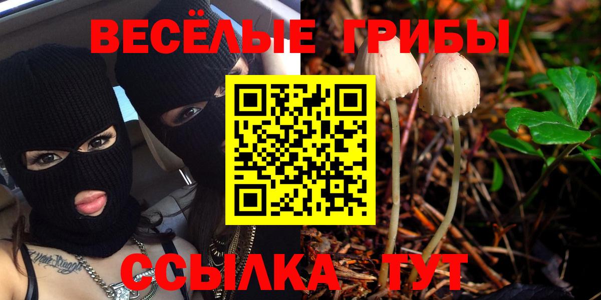 цены наркотик  Галлюциногенные грибы ЛСД  Вход с VPN  Псилоцибиновые грибы Psilocybine cubensis  Каменск-Уральский 