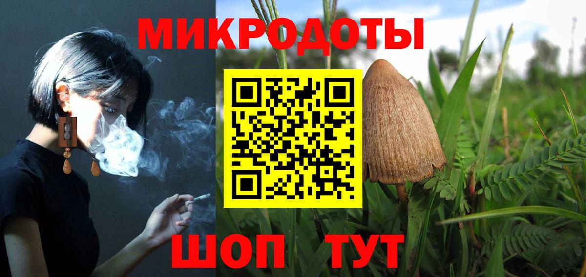 Галлюциногенные грибы Psilocybine cubensis Каменск-Уральский